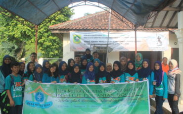 desa1