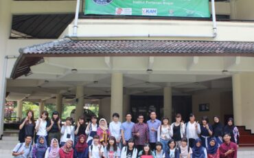 IMG_6208 (2046 x 1664)