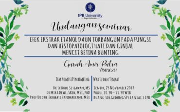 Seminar Guruh Amir Putra