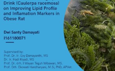 Kolokium Dwi Santi Damayati