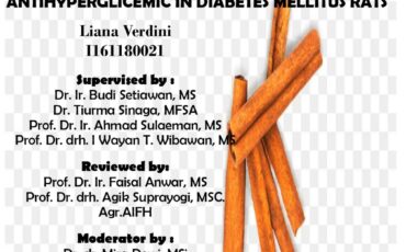 Kolokium Liana Verdini