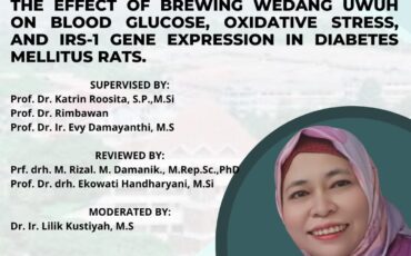 Erna Susilowati_Kolokium_I1604221024