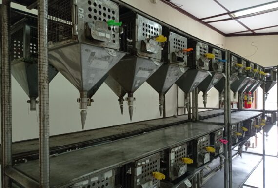 Laboratorium Percobaan Hewan